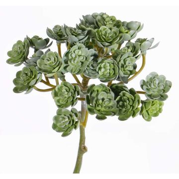 Echeveria artificial BLAIR con barra para fijación, verde, 20cm, Ø10cm Echeveria artificial BLAIR con barra para fijación, verde, 20cm, Ø10cm