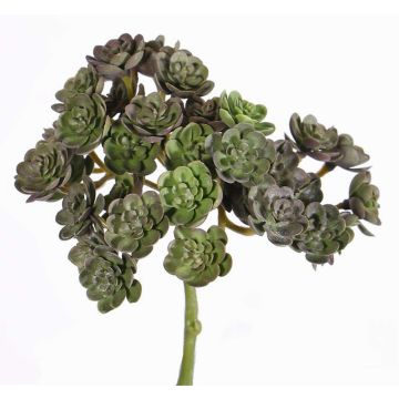 Echeveria artificial BLAIR con barra para fijación, rojo-verde, 20cm, Ø10cm Echeveria artificial BLAIR con barra para fijación, rojo-verde, 20cm, Ø10cm