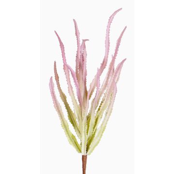 Euphorbia trigona artificial REESE con barra para fijación, rosa-verde, 30cm, Ø20cm Euphorbia trigona artificial REESE con barra para fijación, rosa-verde, 30cm, Ø20cm