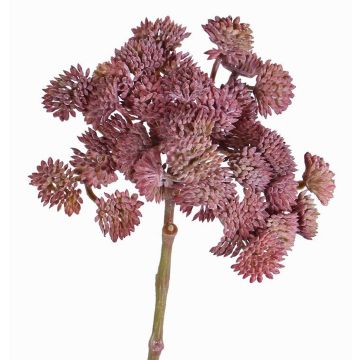 Sedum de plástico DANICA rojo oscuro, 20cm, Ø10cm Sedum de plástico DANICA rojo oscuro, 20cm, Ø10cm