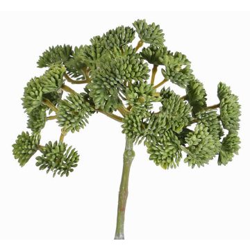 Sedum de plástico DANICA verde, 20cm, Ø10cm Sedum de plástico DANICA verde, 20cm, Ø10cm