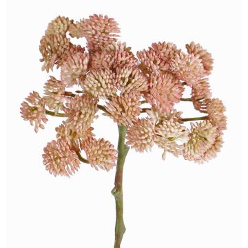 Sedum de plástico DANICA rosa, rosa, 20cm, Ø10cm Sedum de plástico DANICA rosa, rosa, 20cm, Ø10cm