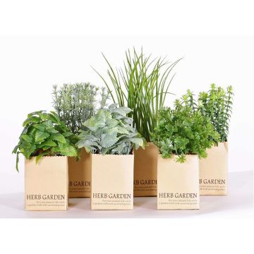 Mix de plantas aromáticas artificiales CHUCK en maceta de papel, verde, 6 unidades, 15-25cm