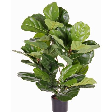 Ficus Lyrata artificial RHYS, zona protegida, verde, 70cm Ficus Lyrata artificial RHYS, zona protegida, verde, 70cm
