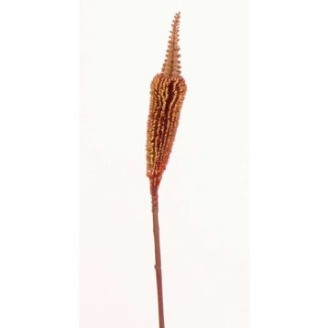 Bulbinella artificial TALUNA, marrón-rojo, 65cm, Ø4cm