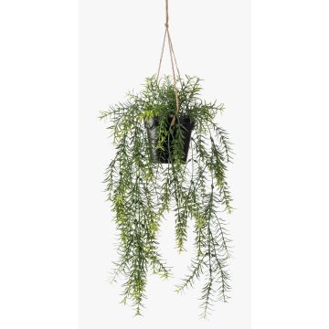 Cesta colgante de asparagus sprengeri artificial ANDRES en maceta decorativa, 50cm Cesta colgante de asparagus sprengeri artificial ANDRES en maceta decorativa, 50cm