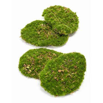 Piezas de musgo artificial para decorar HEFEI, 4 piezas, verde, 11x15x5cm Piezas de musgo artificial para decorar HEFEI, 4 piezas, verde, 11x15x5cm