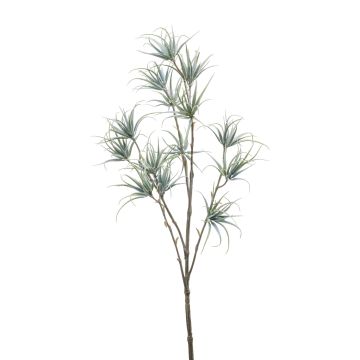 Rama de tillandsia stricta de plástico MONDRIAN, verde-gris, 65cm