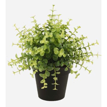 Eucalipto de plástico YANIS, verde, 20cm Eucalipto de plástico YANIS, verde, 20cm