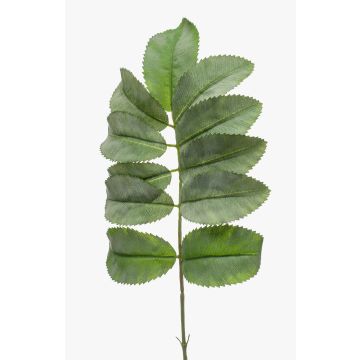 Melianthus artificial SATORU, verde, 65cm