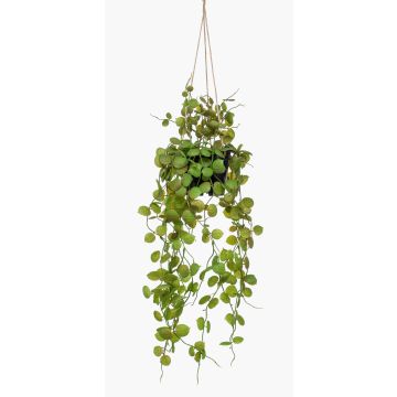 Cesta colgante de ceropegia artificial BOLTEN, verde, 50cm