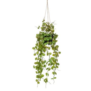 Cesta colgante de ceropegia artificial BOLTEN, verde, 50cm