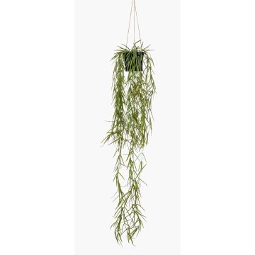 Cesta colgante de cactus coral artificial BOLTEN, verde, 80cm