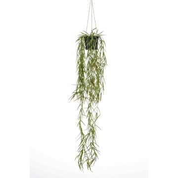 Cesta colgante de cactus coral artificial BOLTEN, verde, 80cm