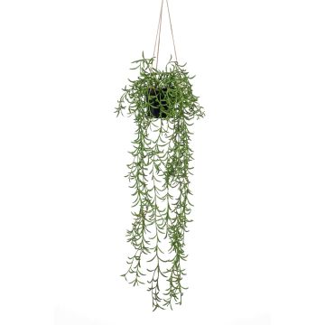 Cesta colgante de senecio artificial BOLTEN, verde, 70cm