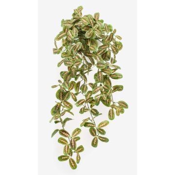 Planta colgante de maranta artificial PARANA en vara de ajuste, verde, 70cm Planta colgante de maranta artificial PARANA en vara de ajuste, verde, 70cm
