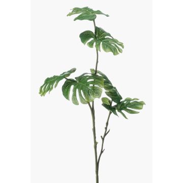 Filodendro monstera deliciosa artificial AECIO, en vara de ajuste, 70cm Filodendro monstera deliciosa artificial AECIO, en vara de ajuste, 70cm