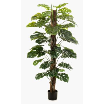 Filodendro monstera deliciosa artificial TILA, 150cm