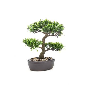 Bonsai podocarpus de plástico GOYA en cuenco, 30cm
