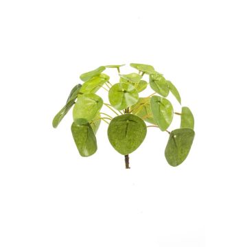 Planta china del dinero artificial SYBIL en vara de ajuste, verde, 13cm