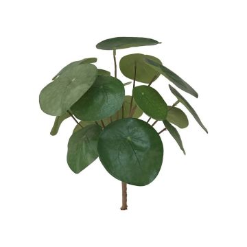 Planta china del dinero artificial SYBIL en vara de ajuste, verde, 20cm