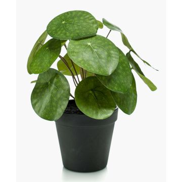 Planta china del dinero artificial SYBIL, verde, 20cm