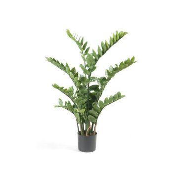 Planta artificial de zamioculcas SIMANO, 110cm
