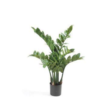 Planta artificial de zamioculcas SIMANO, 70cm