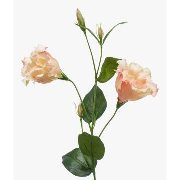 Flor artificial de eustoma JENO, crema-rosa, 60cm Flor artificial de eustoma JENO, crema-rosa, 60cm