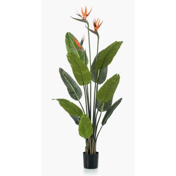 Strelitzia artificial TAPIES, naranja-violeta, 120cm Strelitzia artificial TAPIES, naranja-violeta, 120cm
