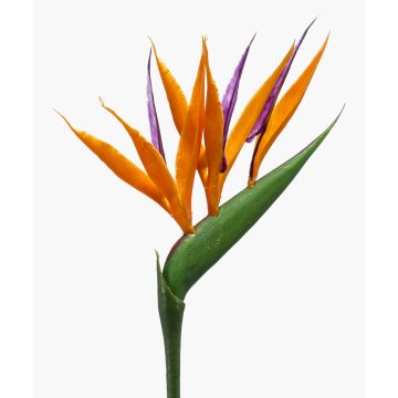 Flor artificial de strelitzia ZETKIN, naranja-violeta, 65cm Flor artificial de strelitzia ZETKIN, naranja-violeta, 65cm