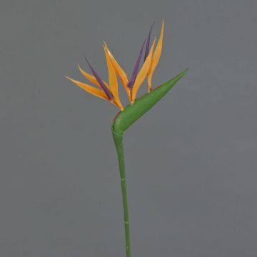 Flor artificial de strelitzia ZETKIN, naranja-violeta, 65cm