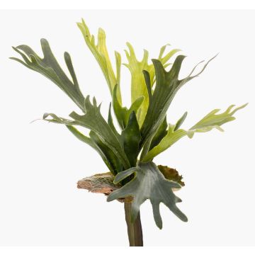 Helecho de platycerium artificial BAROJA en vara de ajuste, verde, 40cm