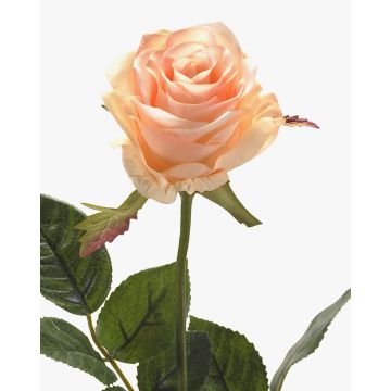 Rosa artificial BRINA, crema-rosa, 70cm Rosa artificial BRINA, crema-rosa, 70cm