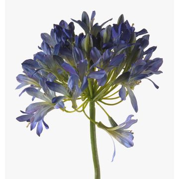 Agapanto de plástico ORNIL, azul, 90cm Agapanto de plástico ORNIL, azul, 90cm