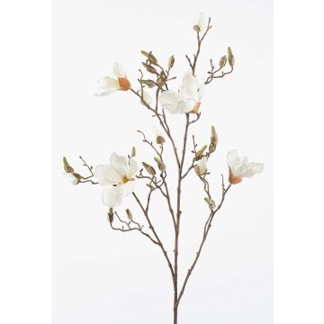 Flor artificial de magnolia CAELO, crema, 105cm