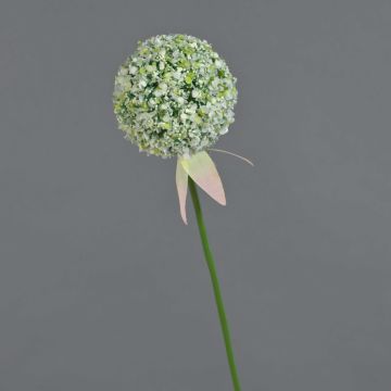 Allium artificial DURBAN, blanco, 70cm