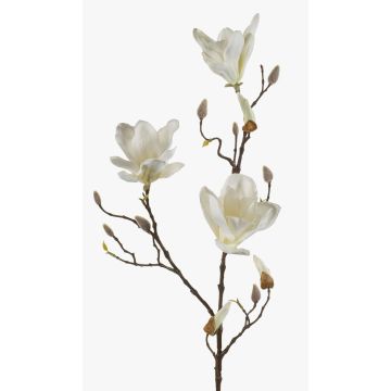 Magnolia artificial MALVAO, crema, 90cm Magnolia artificial MALVAO, crema, 90cm