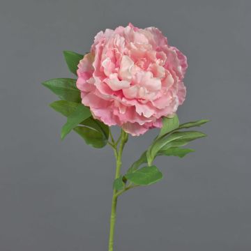 Peonía artificial DIVIN, rosa, 65cm