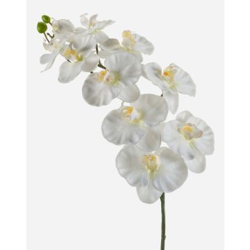 Rama de orquídeas phalaenopsis de plástico ANAT, crema, 100cm Rama de orquídeas phalaenopsis de plástico ANAT, crema, 100cm