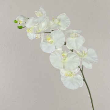 Rama de orquídeas phalaenopsis de plástico ANAT, crema, 100cm