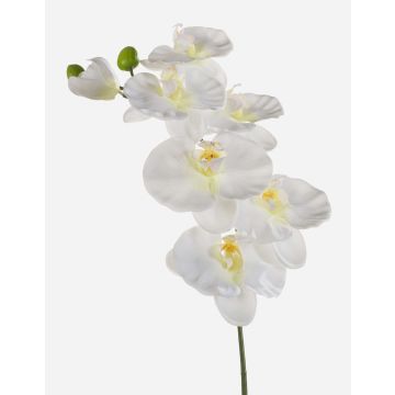 Rama de orquídeas phalaenopsis de plástico BASTET, blanco, 80cm Rama de orquídeas phalaenopsis de plástico BASTET, blanco, 80cm