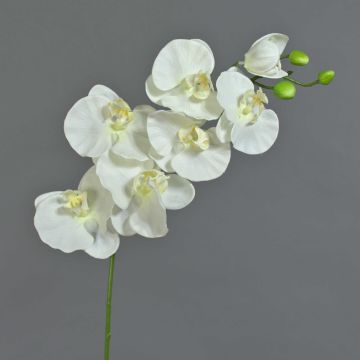 Rama de orquídeas phalaenopsis de plástico BASTET, blanco, 80cm