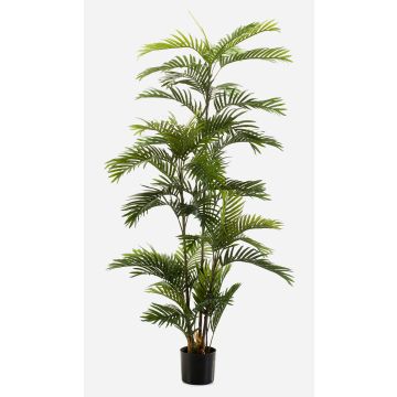 Palmera de areca artificial FEDERICO, 180cm Palmera de areca artificial FEDERICO, 180cm