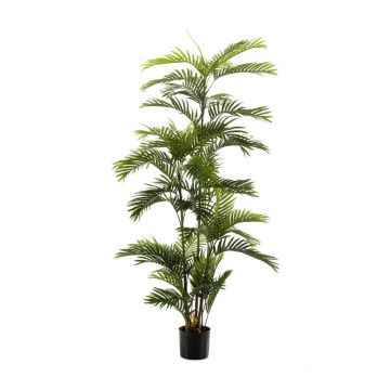 Palmera de areca artificial FEDERICO, 180cm