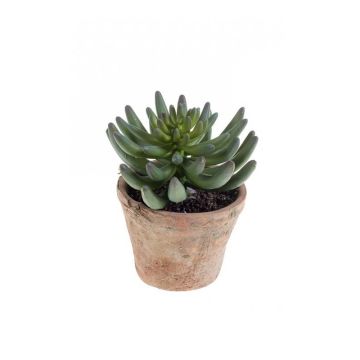 Sedum rupestre artificial EROS en maceta de terracota, verde, 15cm