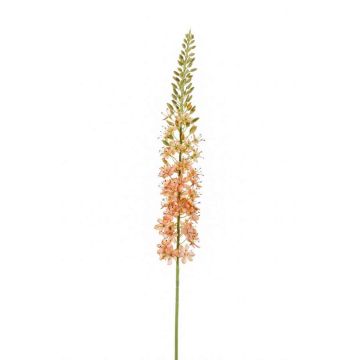 Eremurus artificial AOMORI, crema-rosa, 105cm Eremurus artificial AOMORI, crema-rosa, 105cm