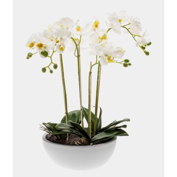 Orquídea phalaenopsis artificial MINA en maceta cerámica, blanco, 60cm Orquídea phalaenopsis artificial MINA en maceta cerámica, blanco, 60cm