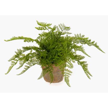 Helecho hembra artificial MELLEA en maceta de terracota, verde, 25cm Helecho hembra artificial MELLEA en maceta de terracota, verde, 25cm