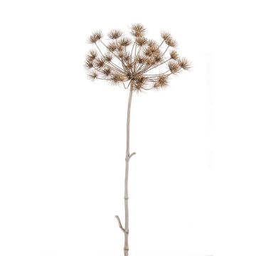 Heracleum de plástico EVANDRO, gris, 125cm